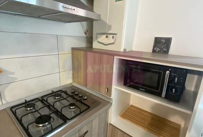Apartament cu 2 camere decomandat, mobilat în Apărătorii Patriei - 8