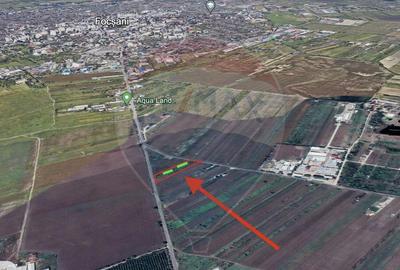 Hala noua 500mp Brailei Mandresti Hala noua 500mp Brailei Mandresti - 8