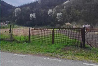 Teren în Leșnic - 4