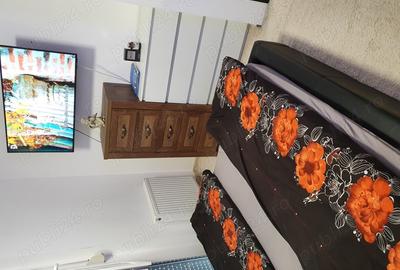 Garsonieră semidecomandată în Micălaca - 2