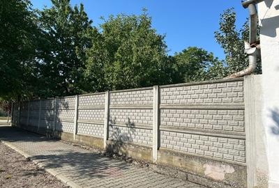 Vind casă in Voiteg Timis - 1