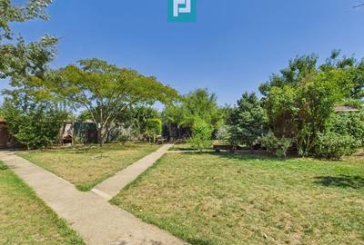 Pensiune la Orțișoara - 53