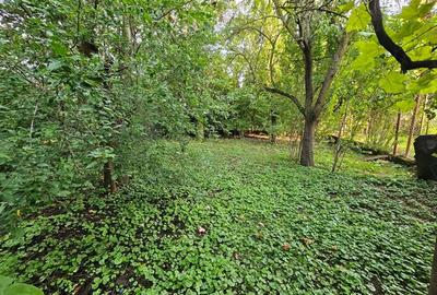 Casa de vanzare pe strada Decebal, Caransebes. 75.000euro - 8