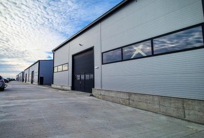 Hale,spatii industriale Albota,Pitesti Arges - 10