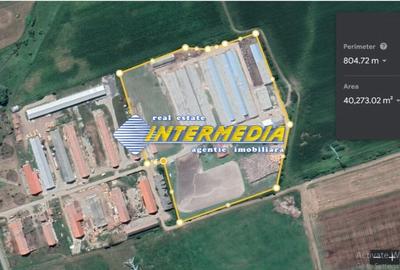 Casă individuală cu 20 camere cu Teren 35000 Mp în Pianu - 5