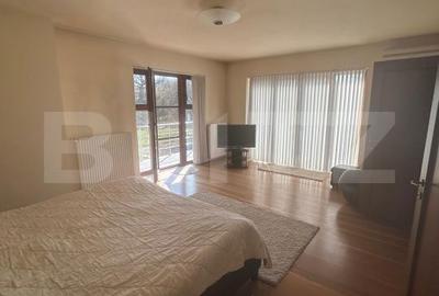 Casă cu 6 camere cu Teren 3982 Mp în Remetea Mare - 18