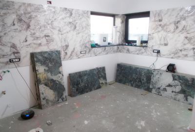 Casa, Becicherecu Mic, parter, 4 camere, 100mp util, 800mp teren - 2