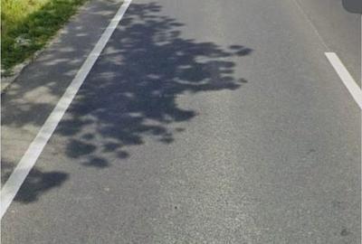 Teren de 38000 mp, în Est - 2