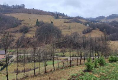 Teren agricol extravilan de 16400 mp, în Poiana Mărului - 2