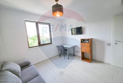 Apartament cu 3 camere semidecomandat, mobilat în Bună Ziua - 10