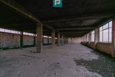 Spațiu industrial, de 6,672 mp, în Freidorf - 18
