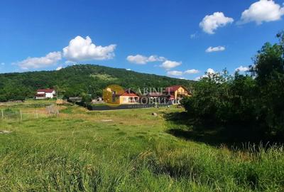 Casă individuală cu 2 camere cu Canalizare în Totoești - 2