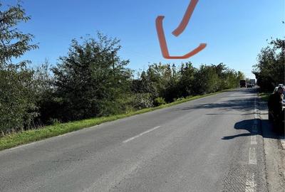 Teren de 6700 mp, în Domnești - 2
