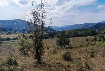 Teren in zona Bradet-Sacele - 4