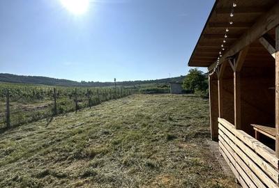 Teren de 1063 mp, în Exterior Vest - 3