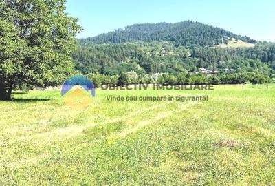 TEREN intravilan  PANGARATI - PRELUCA - 5