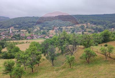 Casa de vacanta cu 6 camere de vanzare Suncuius - 18