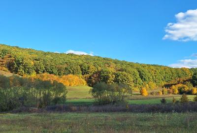 Teren de 1500 mp, în Corunca - 4
