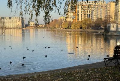 Apartament 3 Camere Aleea Sinaia - Doamna Ghica - 9