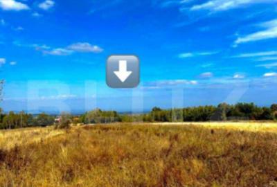 Teren extravilan 4265 mp, in Dangaul Mare - EXCLUSIVITATE - 2