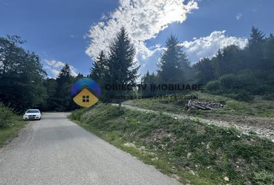 Teren cu o locatie de vis in Pangarati 53 m deschidere la strada