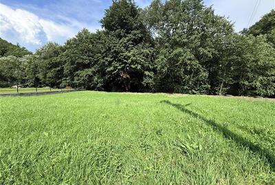 Teren intravilan Somesu Rece Lunca - 4