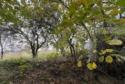 Teren de 702 mp, în Bună Ziua - 4