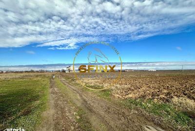 Spațiu comercial, în Tărtășești - 4