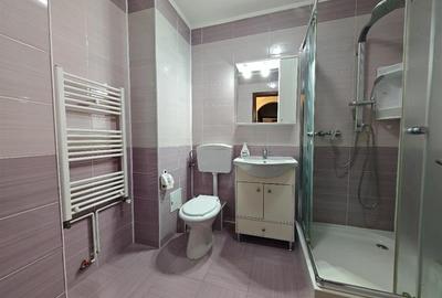 Inchiriem Apartament 2 Camere, Mobilat, Decomandat, Scriitorilor - 16