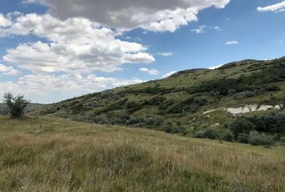 Vanzare 50 Ha pasune, judetul Prahova - 11