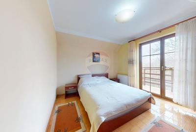 Casă cu 6 camere cu Teren 10331 Mp în Sohodol - 10