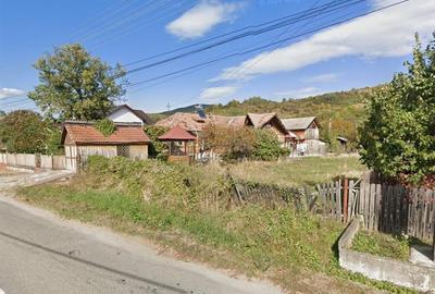 Teren de vanzare Drajna de Sus, zona buna pentru case vacanta - 6