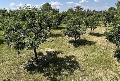 Spațiu comercial, în Letea - 1