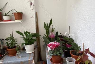 Apartament cu 2 camere decomandat în Central - 6