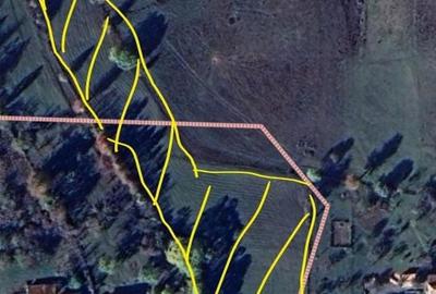 Teren de 7086 mp, în Mașca - 4