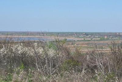 Teren Construcții intravilan de 4300 mp, în Comana - 2