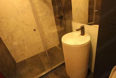 Garsonieră decomandată, mobilată în Alba Iulia - 4