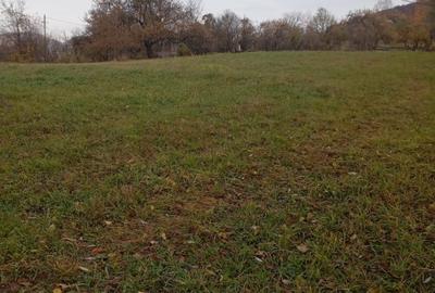 Teren intravilan de 2800 mp, în Bistrița Bârgăului - 3