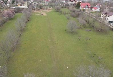 Teren de 10000 mp, în Voila - 5