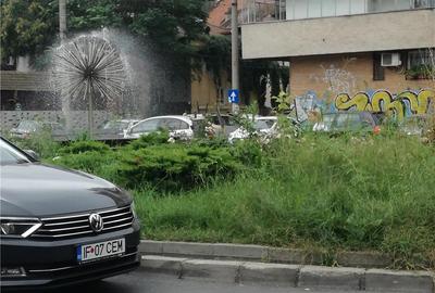 Casă cu 4 camere cu Teren 185 Mp în P-ța Victoriei - 5