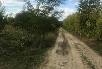 Teren de 2200 mp, în Central