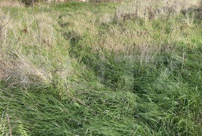 Teren intravilan Varsolt in suprafata de 400mp si 1200 mp ex - 2