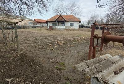 Casă cu 3 camere cu Teren 2394 Mp în Fărcășești - 1