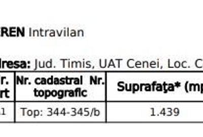 Spațiu comercial, în Cenei