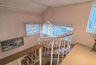 Casa individuala, zona Mehala - Cetatii, teren generos - 7
