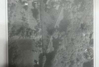 Casă cu 3 camere în Vișeu de Jos - 3