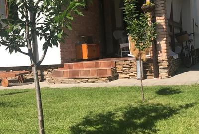 Casă cu 5 camere în Cetate - 1