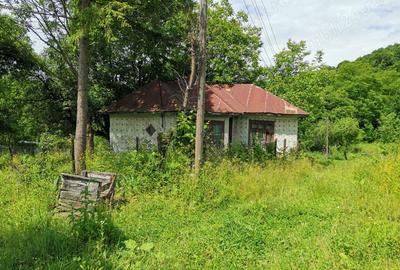 Teren de 2000 mp, în Cosmina de Sus - 7