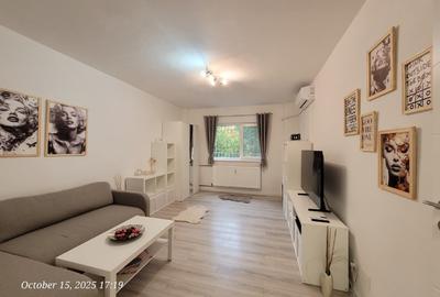 Particular, garsonieră Tineretului complet renovată, mobilată și utilată, liberă - 10