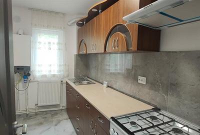 Apartament cu 3 camere semidecomandat în Podu Roș - 19